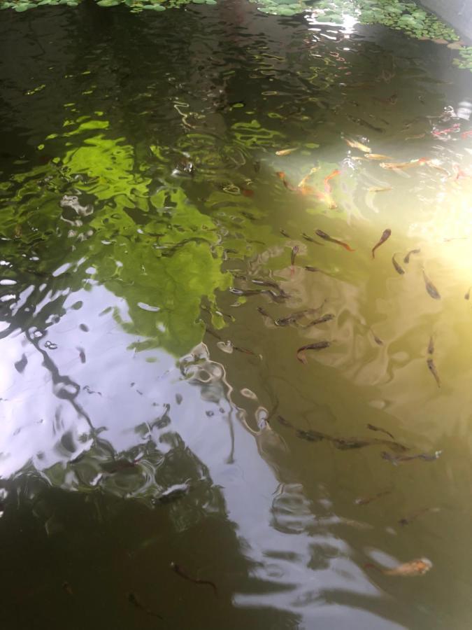 Habitation Santos 6 Personnes Terre De Haut Les Saintes Eksteriør bilde